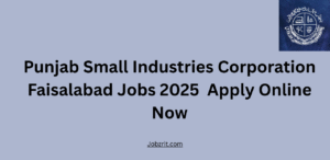 Punjab Small Industries Corporation Faisalabad Jobs 2025